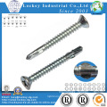 Self Drilling Screw Self Tapping Screw with Nibs / Wing